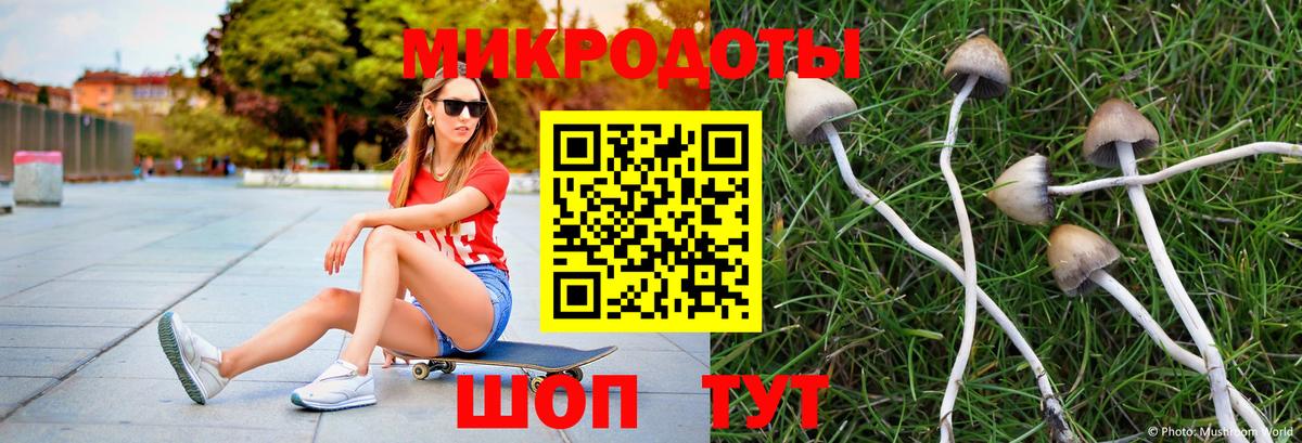 Галлюциногенные грибы Magic Shrooms  Вход с VPN  Алатырь 